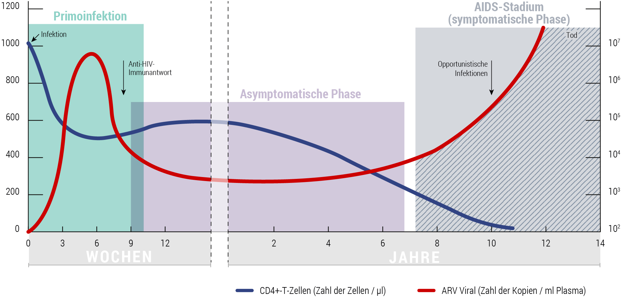 Primo%20infection%20symptome%20et%20evolution%20de%20VIH.JPG